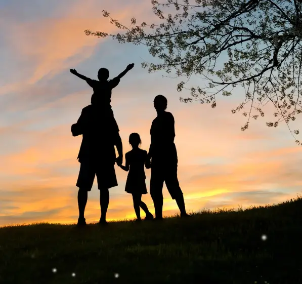 Protect your family with custom life insurance solutions Synergy Insurance